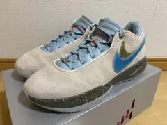 LEBRON レブロン 20 日本未発売カラーのサムネイル