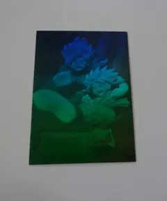 2026年最新】ドラゴンボール 3D ホログラムカードの人気アイテム