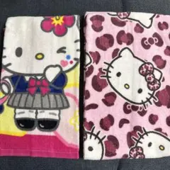 ２枚セット