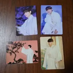 公式　BTS　ダルマジュンミニフォト　テテ