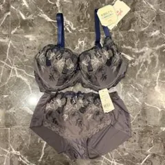 新品　トリンプ　天使のブラ　魔法のハリ感　E70 新品　グレー系　ショーツM