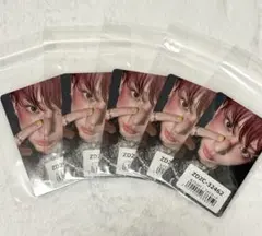 &TEAM HARUA ハルア BtL ユニバ特典トレカ5枚セット