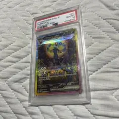 PSA10ブラッキーex SAR スカーレット&バイオレット ハイクラスパック
