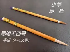 Item thumbnail for item 720be856-dc10-4106-9a00-6f38e7c222e6