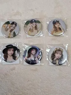 FRUITS ZIPPER 仲川瑠夏　生誕祭　すきくじ　 G賞　缶バッジ