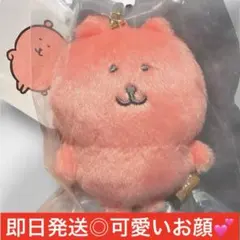 【匿名配送】ナガノマーケット|カラーなナガノのくまマスコット（ピンク）可愛いお顔