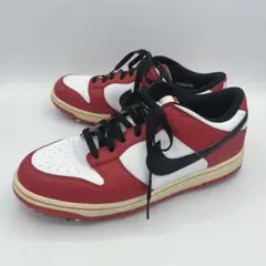 【超超レア・美品】 NIKE DUNK ナイキ ダンク ゴルフ 28cm 2026年最新】ナイキ ダンク ゴルフシューズの人気アイテム - メルカリ