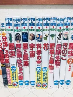 小学館の図鑑NEO くらべる図鑑 新版・分解する図鑑・DVD付き 12冊セット