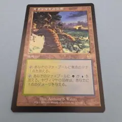 2026年最新】ヤヴィマヤの沿岸の人気アイテム - メルカリ