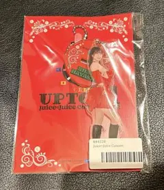 Juice=Juice 松永里愛 アクリルスタンドキーホルダー 盛れ！ミポーズ