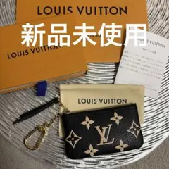 新品未使用✨️ルイヴィトン アンプラント フラグメントケース✨️箱 