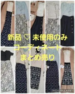 新品未使用のみ　レディースまとめ売り　コーディネート　コーデ売り　きらいめ