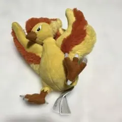 ファイヤー　ぬいぐるみ　ポケモン　fit フィット　ポケモンセンター