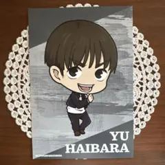 呪術廻戦 灰原雄 ポストカード 領域展開スクエア