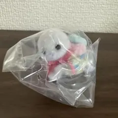 G賞アザラシの赤ちゃん