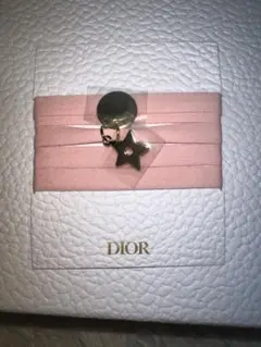 dior チャーム