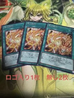 遊戯王　WCS 燦幻開門　シークレット　ロゴ有り１枚　無し２枚