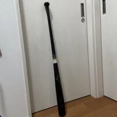 ミズノ トレーニングバット