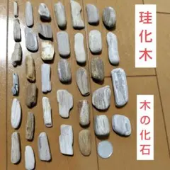 manamameb様 リクエスト 2点 まとめ商品