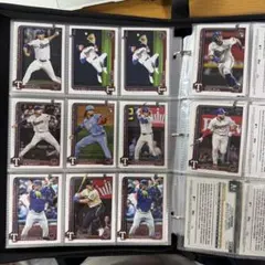 Item thumbnail for item d19c2511-ad0a-43a9-bf45-7a9f41070a49