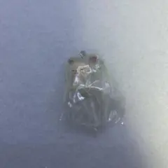 straykids めじるしアクセサリー 樂star トレカ アイエン