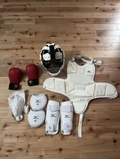 1回数分使用のみ/極美品] 空手防具一式セット大人用Mサイズミズノ東海