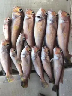 Item thumbnail for item 4fde0210-73fe-4be9-a4dc-277268af2ac0