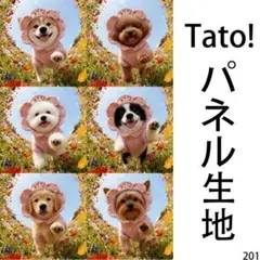 Tato !(=^・^=)パネル生地 お花畑のワンちゃん D201