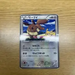 イーブイプロモ