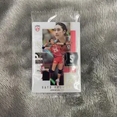 佐藤淑乃 バレーボール 日本代表 トレーディングカード