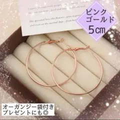 ゴールド　6㎝　フープピアス ステンレス 細め　リング 上品 韓国　ピアス