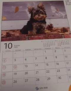 minima様 リクエスト 5点 まとめ商品