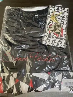 《新品未使用》 ソナーポケットTシャツ キーホルダー