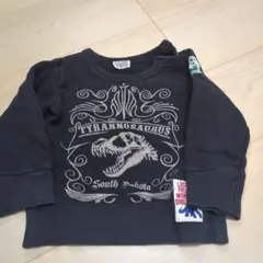 恐竜アドベンチャー トレーナー 90