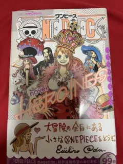 初版・新品未開封・カード付】ワンピース ノベルヒロインズ 帯付き