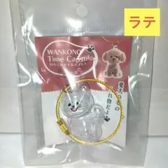 わんこ　のタイムカプセル　ラテ　ヨークシャテリア　愛犬　毛　入れ