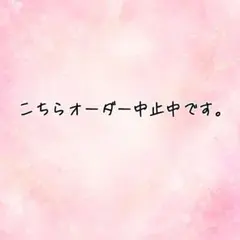 【限定3名様】フィールドコート オーダーページ