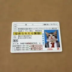 みきゃん』nanacoカード未使用品 - メルカリ