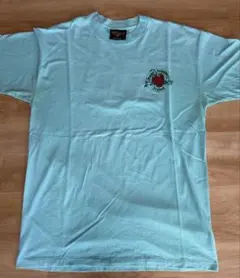 90s USA製 Pungo Strawberry Festival T XL