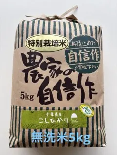 早い者勝ち　厳選米　千葉県いすみ市産 コシヒカリ　白米　特別栽培米 5kgのサムネイル
