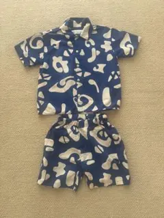 zaraセットアップ