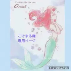 こけまる様 専用ページです