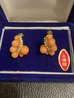 本珊瑚 イヤリング 只今値下げ中‼️