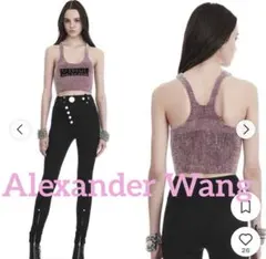 本日限定価格✨ Alexander Wang✨♡アレキサンダーワン♡ 定価6万