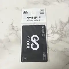 [24時間以内発送]韓国　気候同行カード　交通カード　 Climate Card