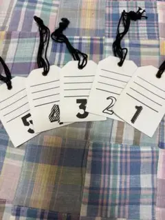 Item thumbnail for item ccad3488-8a55-4deb-bbfb-7f8025ffad0c