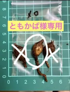 ともかば様専用