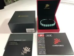 2025年最新】コアフォースsusの人気アイテム - メルカリ