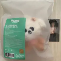 バムグッ アイドル