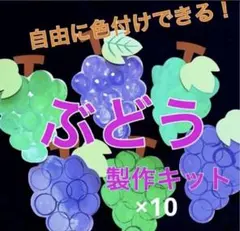 ぶどう　色付け　製作キット　秋　保育　高齢者　壁面　クラフト